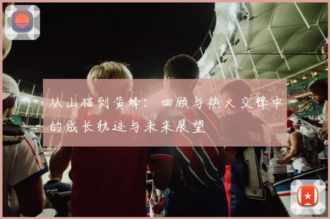 从山猫到黄蜂：回顾与热火交锋中的成长轨迹与未来展望