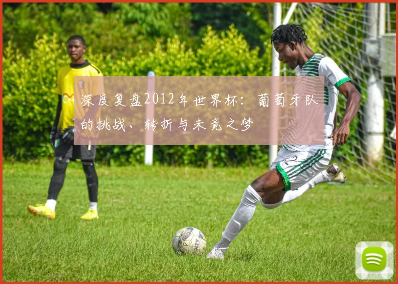 深度复盘2012年世界杯：葡萄牙队的挑战、转折与未竟之梦