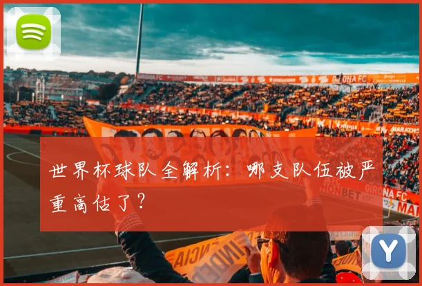 世界杯球队全解析：哪支队伍被严重高估了？