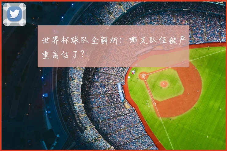 世界杯球队全解析：哪支队伍被严重高估了？