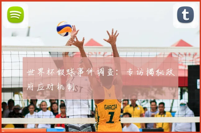世界杯假球事件调查：专访揭秘政府应对机制