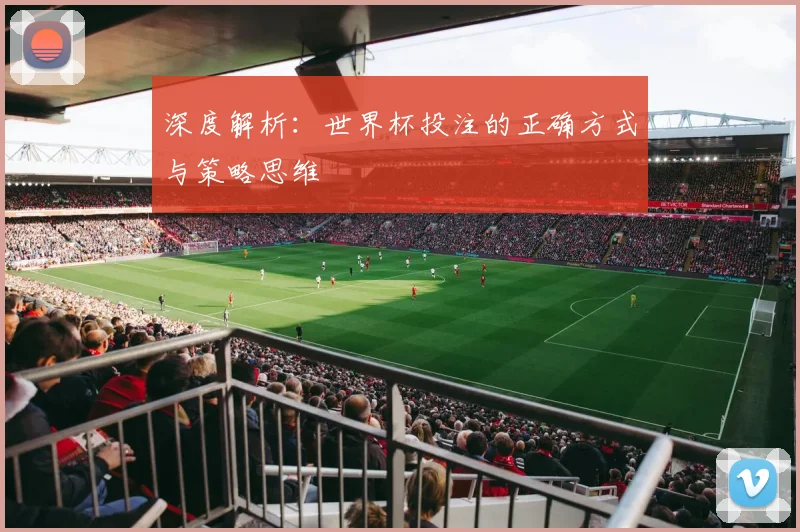 深度解析:世界杯投注的正确方式与策略思维