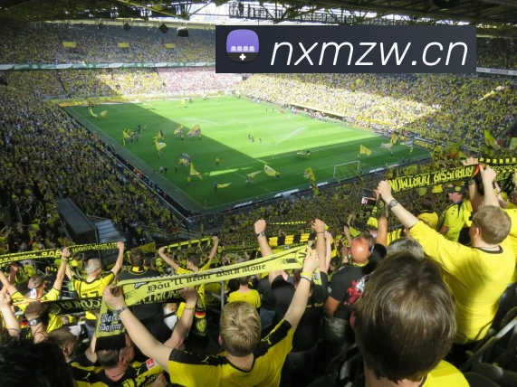 半岛网页版官网平台生态图